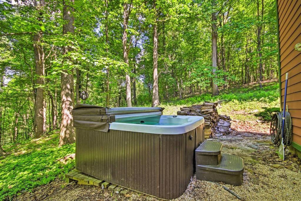 Bear's Eye View - Mountain Retreat W/ Hot Tub! *